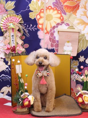 20240123うたちゃん